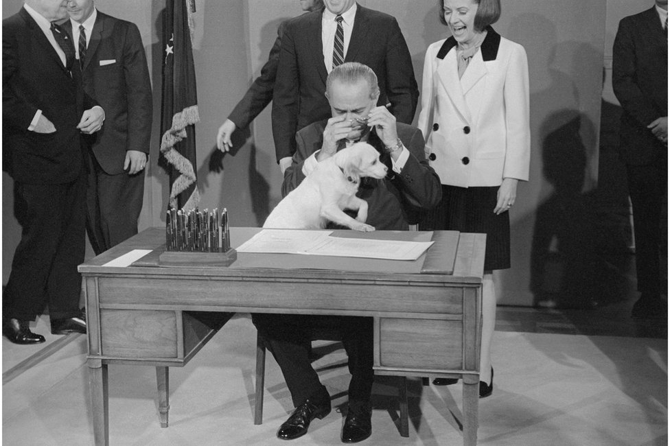 الرئيس جونسون يحاول التوقيع على مشروع قانون مع كلبه الأليف يوكي في حضنه عام.