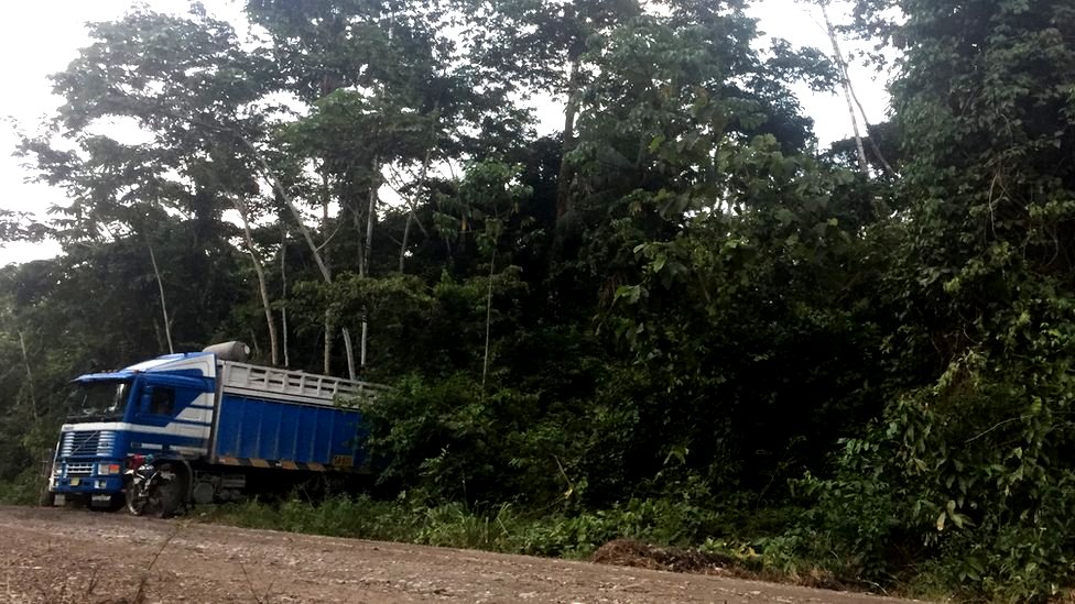 Un camión en Puerto Shipetiari