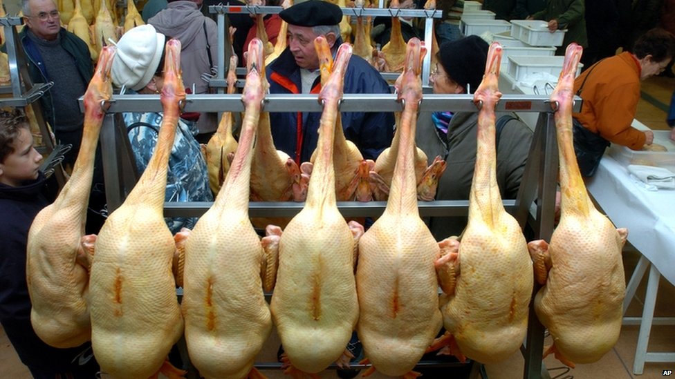 Production of foie gras