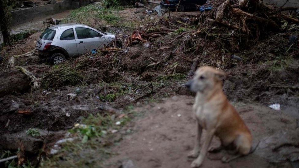 Собака сидит возле поврежденной машины после проливных дождей в районе Такуара, пригород Рио-де-Жанейро, Бразилия. Фото: 2 марта 2020 г.