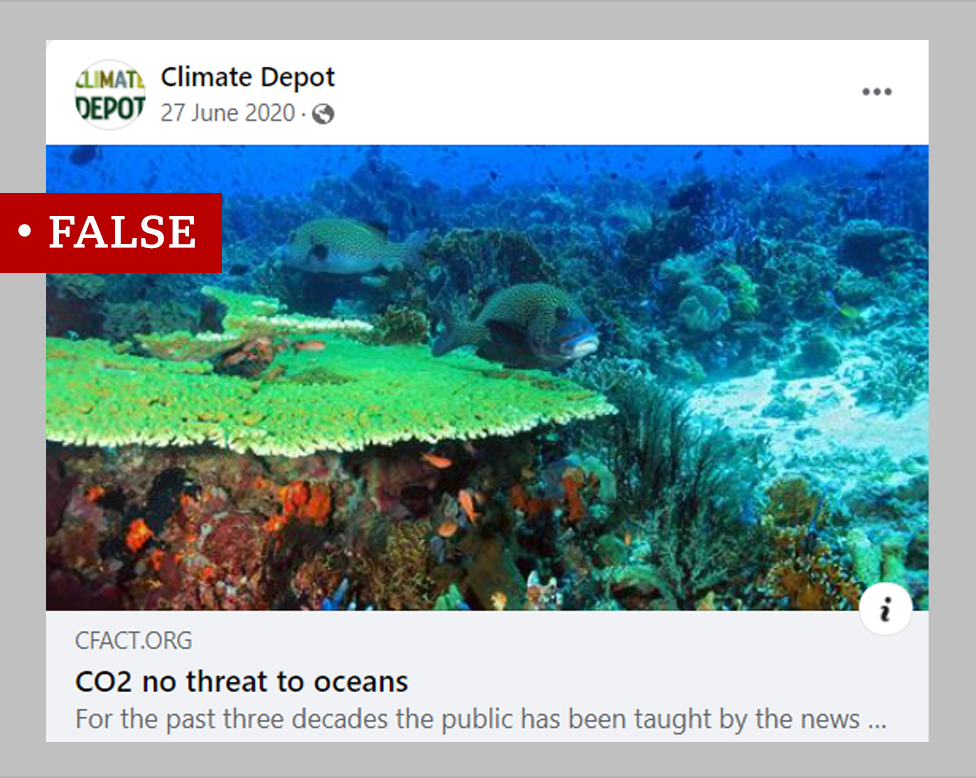 Fotografija okeana uz netačnu tvrdnju da ugljen-dioksid nije štetan za životinje i biljke u okeanima