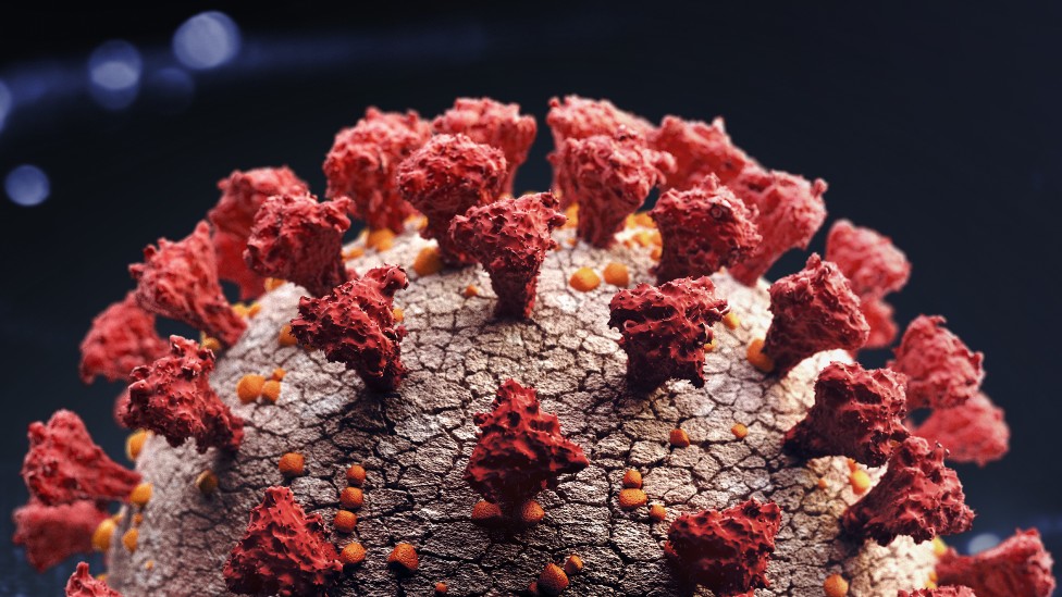 Ilustración del virus SARS-CoV-2, que causa covid 19