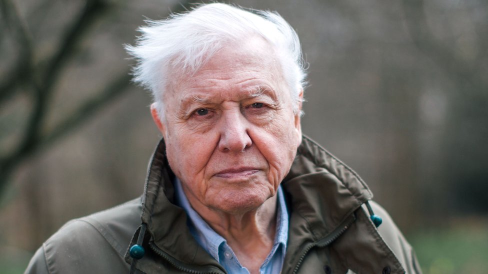 Sir David Attenborough To Explore Threat To Perfect Planet Bbc News