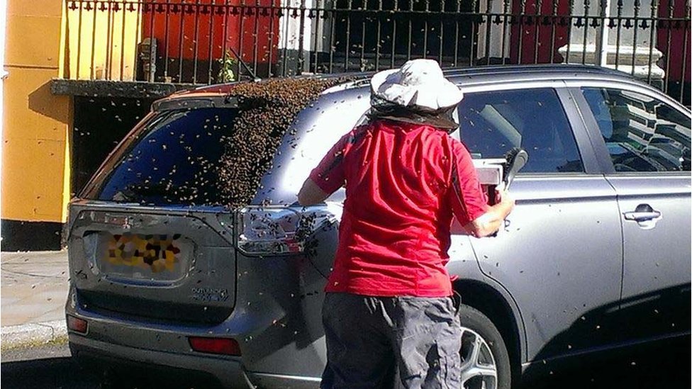 Один из пчеловодов, который пытался помочь собирать насекомых в Хаверфордвесте