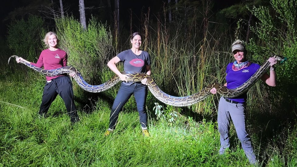Amy and her colleagues holding a python they've just caught