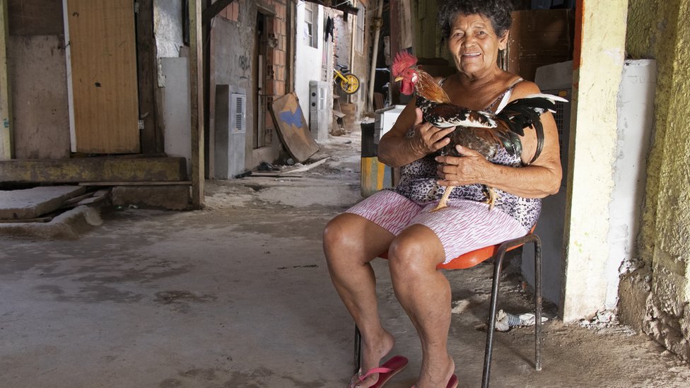 Josefa Flor da Silva, a Dona Zefa, sentada em uma cadeira, com um galo no colo e a favela ao fundo