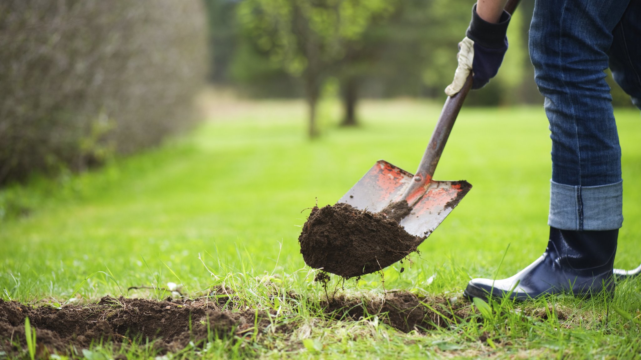 A Point Of View Why Gardening Is Really About Digging Your Own Grave Bbc News