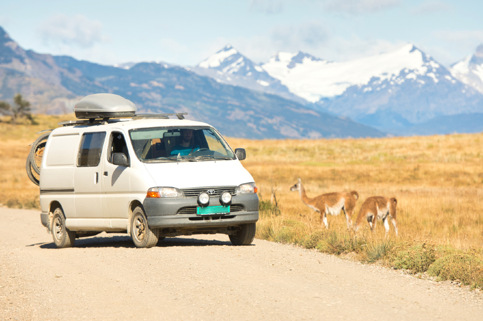 Фургон Радки и Ивара в Патагонии, с местными животными