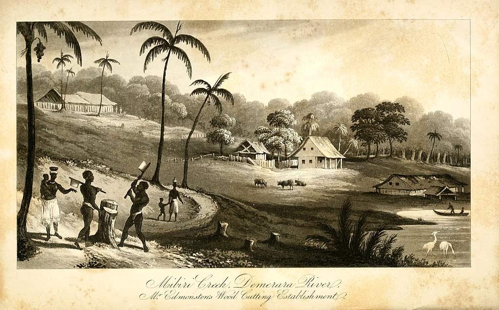 Plantação de Charles Edmonstone em Mibiri Creek, perto do Rio Demerara, na Guiana