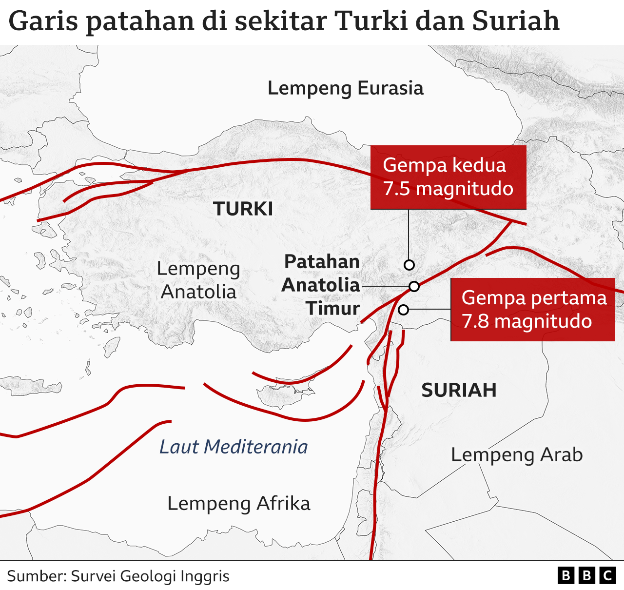 Peta yang menunjukkan garis patahan di sekitar Turki dan Suriah