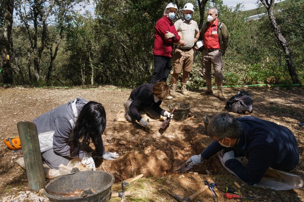 Juan Luis Arsuaga (de pie en el fondo, con camisa granate) en el yacimiento arqueológico de Atapuerca, en Burgos, España, en julio de 2020.