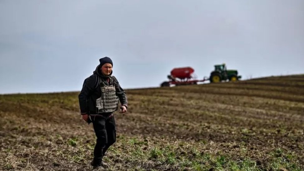 مزارع أوكراني يرتدي سترة واقية من الرصاص أثناء زراعة القمح في زاوبوريجيا