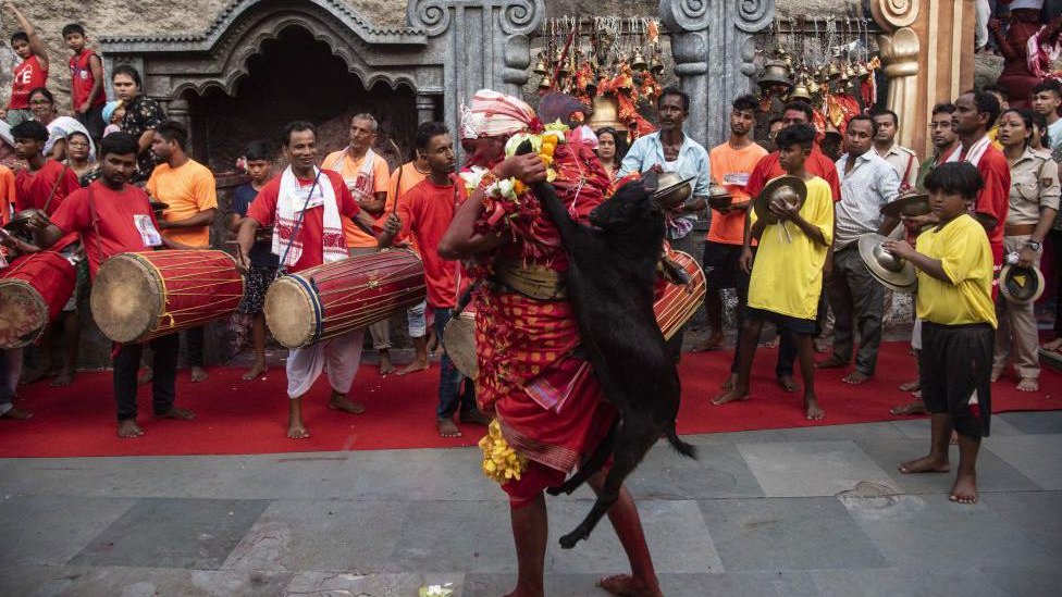 Sveštenik pleše držeći žrtveno jagnje tokom praznika Deodani u hramu Kamakija u indijskoj državi Asam