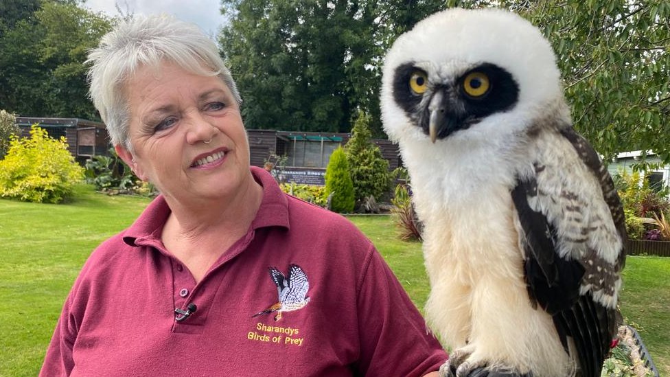 North Somerset Bird of Prey Centre