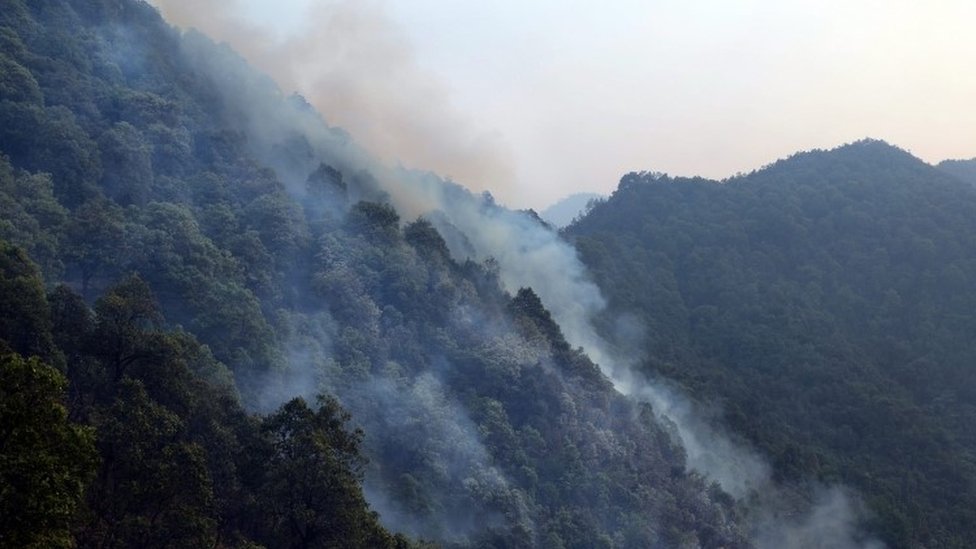 India fires Rainfall douses deadly blazes in Uttarakhand BBC News