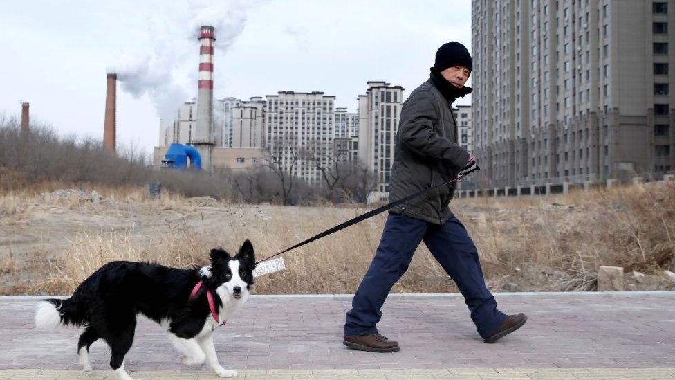 Man walking dog in Harbin, northern China