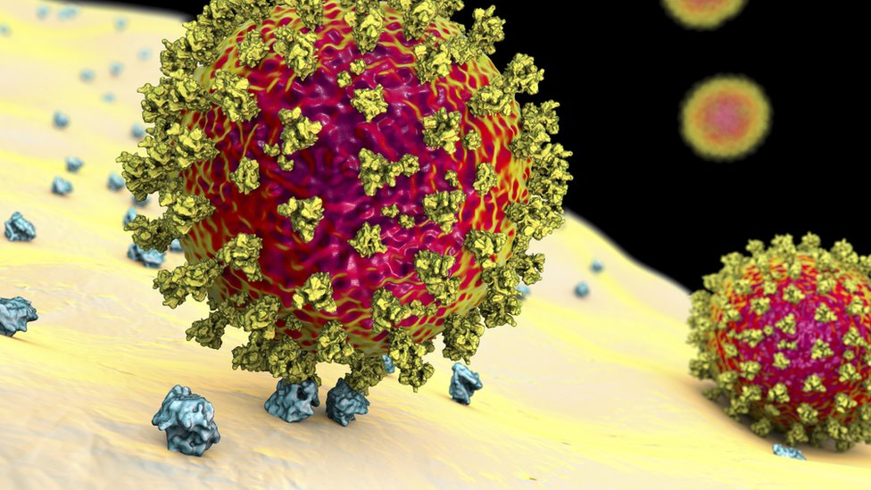 Ilustração de coronavírus atacando célula