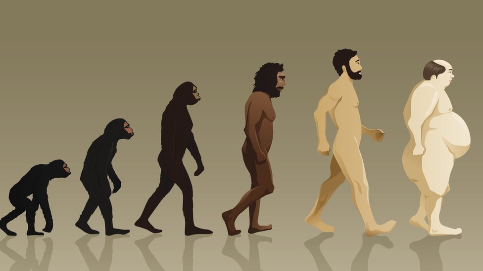 evolution and obesity