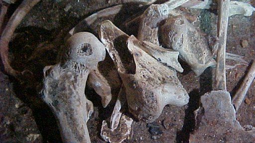 Fragmentos óseos de Eva de Naharon