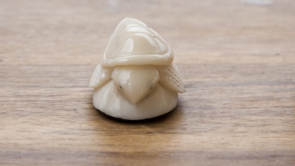 La semilla de tagua puede medir 9cm de largo y se la puede tallar como al marfil. Tagua