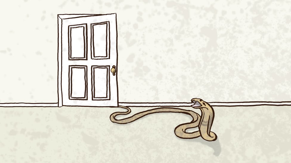Ilustración de una serpiente saliendo de una puerta