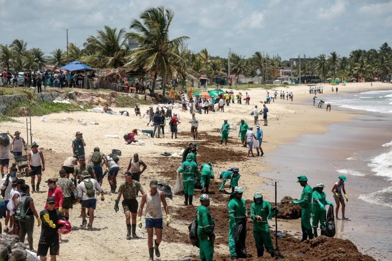 Voluntarios limpian una playa