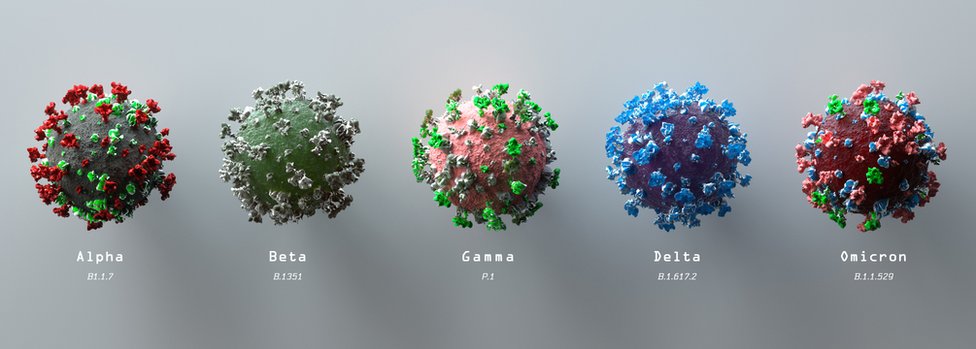 Sojevi korona virusa pod mikroskopom