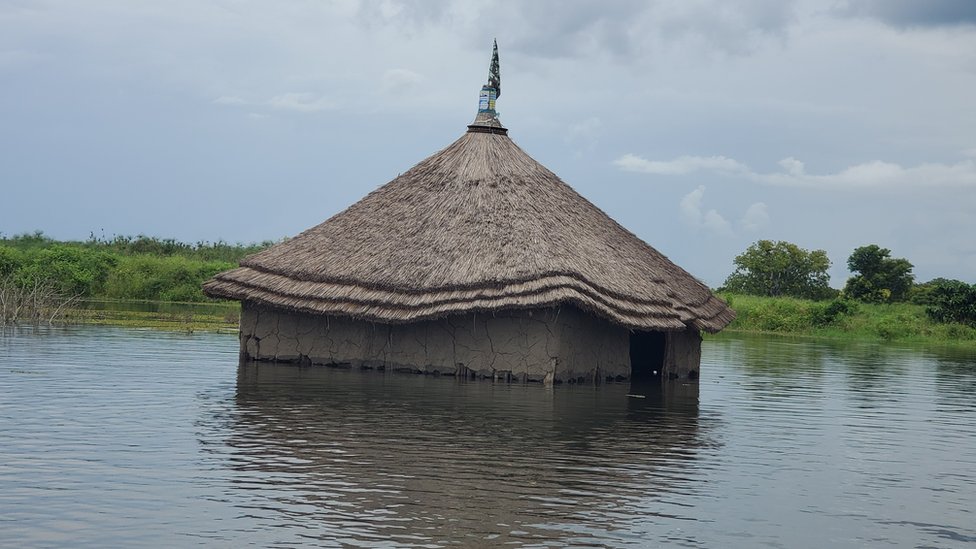 Дом затоплен водой