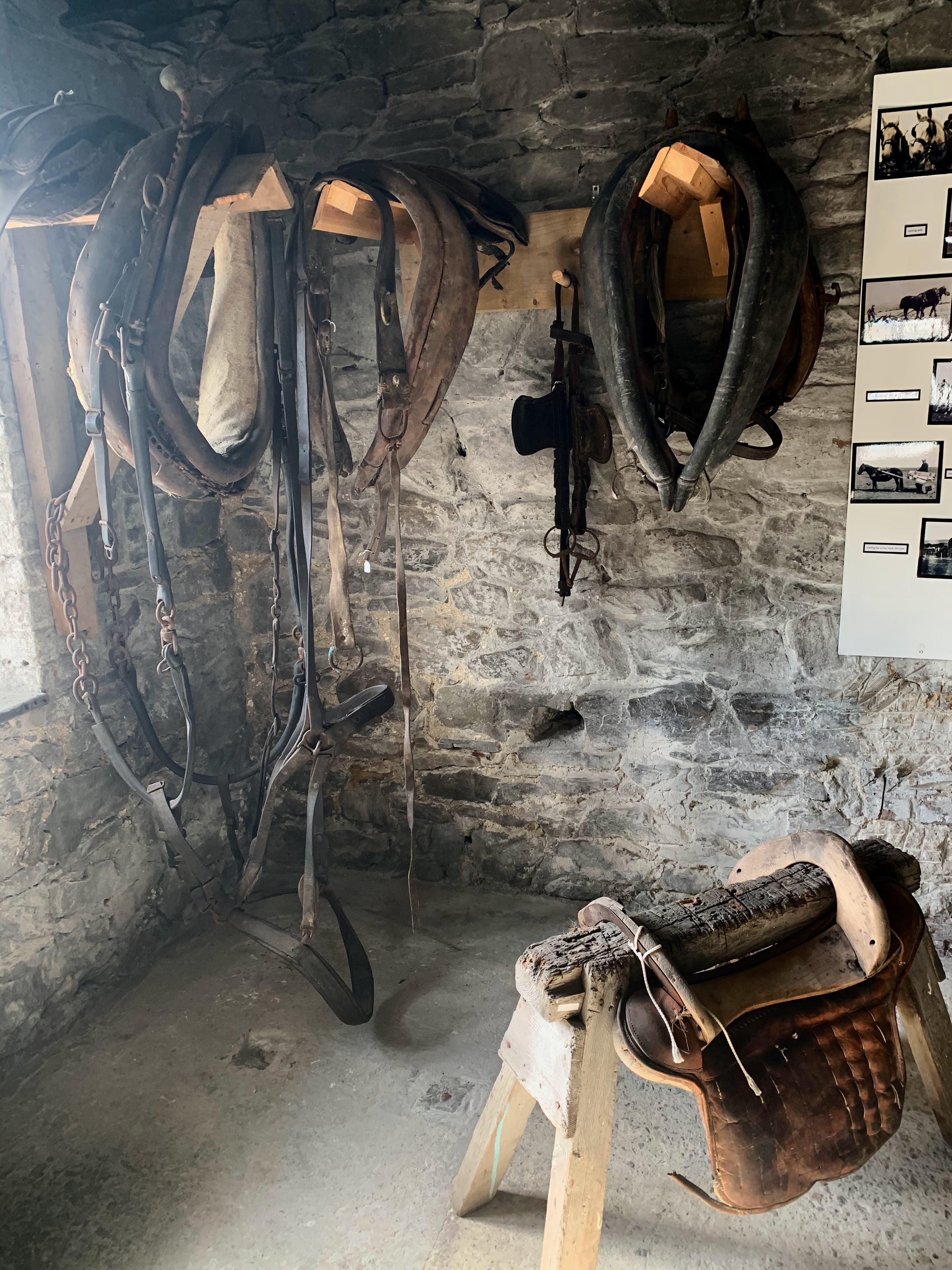 Elementos de la montura del caballo en la muestra del Historic Dockyard Museum de Malvinas / Falklands