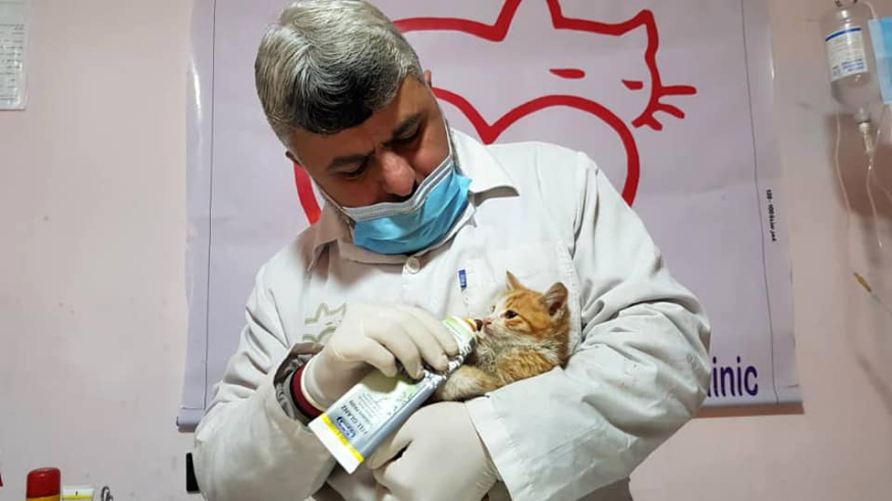 Doktor Jusef, veterinar u utočištu