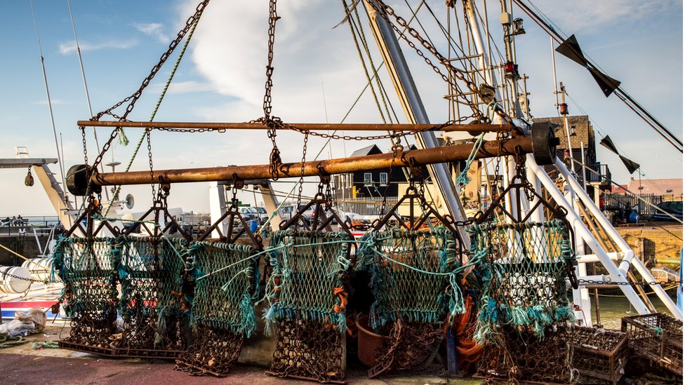 Scottish firm fined £20,000 for illegally fishing for King Scallops without  a license in Isle of Man