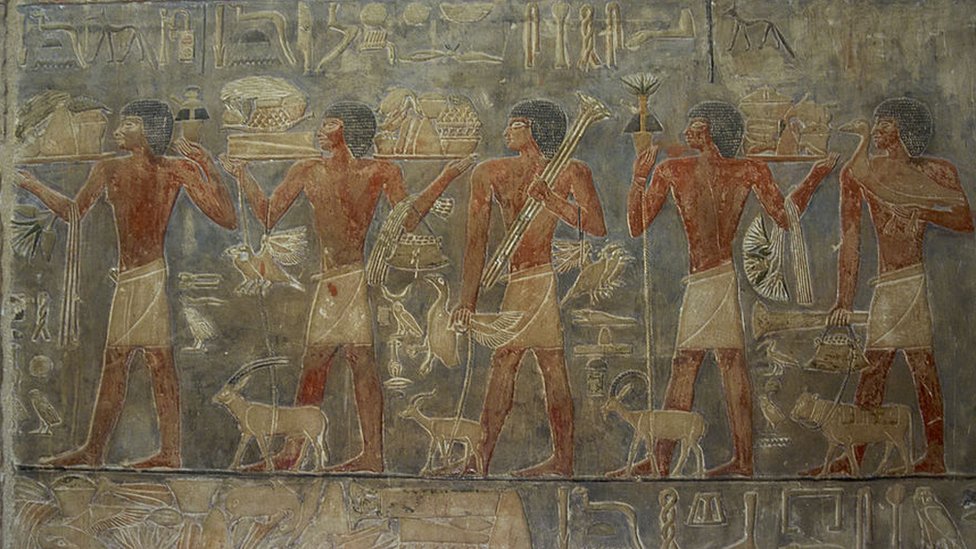 نقوش مصرية قديمة لخيرات زراعية ومجموعة من العمال