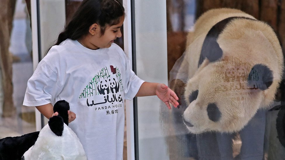 兒童透過玻璃與中國大熊貓互動