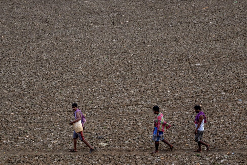 India water crisis flagged up in global report - BBC News