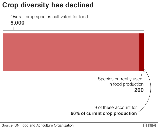 Диаграмма снижения разнообразия сельскохозяйственных культур