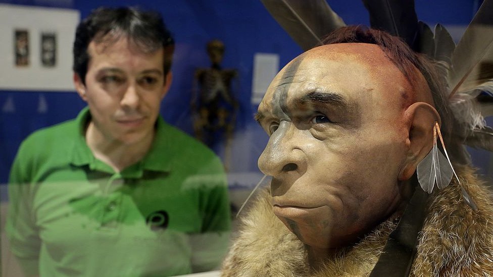 Hombre observa la recreación de una cabeza neandertal en un museo en España.