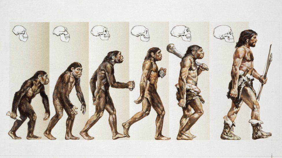 Evolucion del hombre