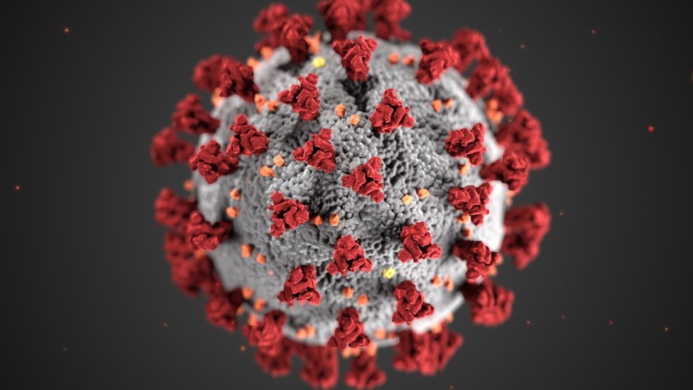 coronavirus molecule