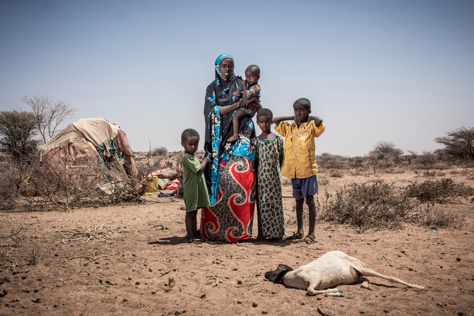 Милго стоит со своими четырьмя детьми перед овцой, погибшей из-за засухи
