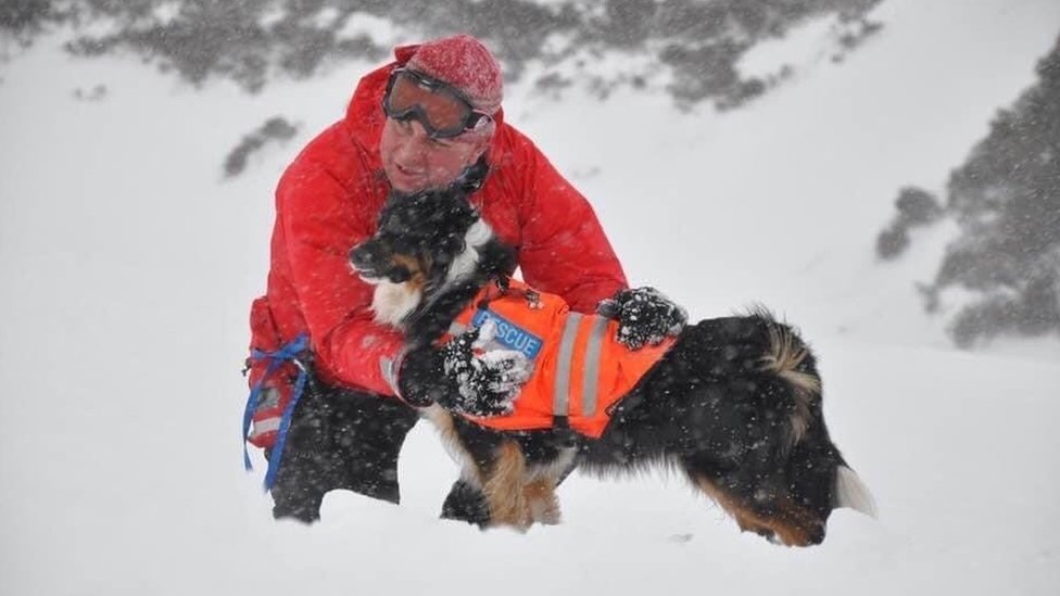 Lake District's oldest mountain rescue search dog retires