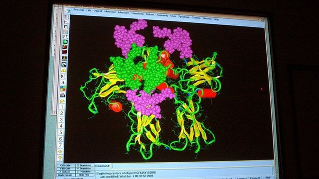 電腦上顯示的是與受體相結合的蛋白質