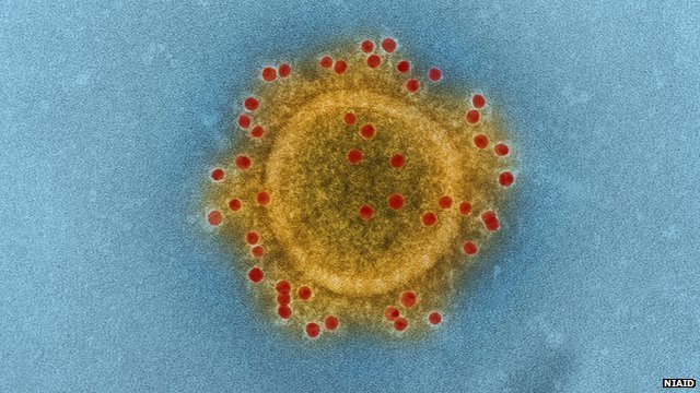 Ближневосточный респираторный синдром Частица коронавируса