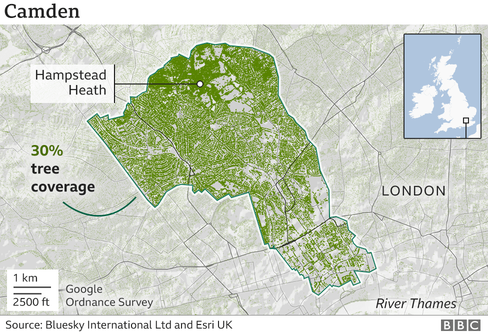 A graphic showing the tree cover in Camden in North London. Camden has 30% tree cover.