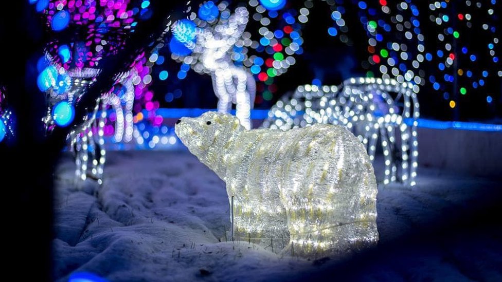 Christmas Lights Humboldt County 2022 Christmas Light Displays Back On After Covid And Energy Price Hikes - Bbc  News