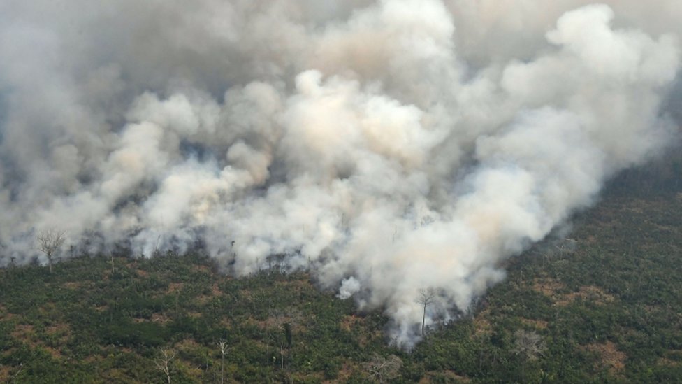 Incendio en el Amazonas.
