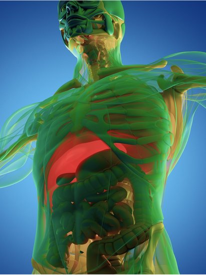 Gambar 3D tubuh manusia