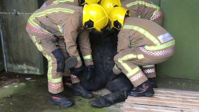 Firefighters rescue training