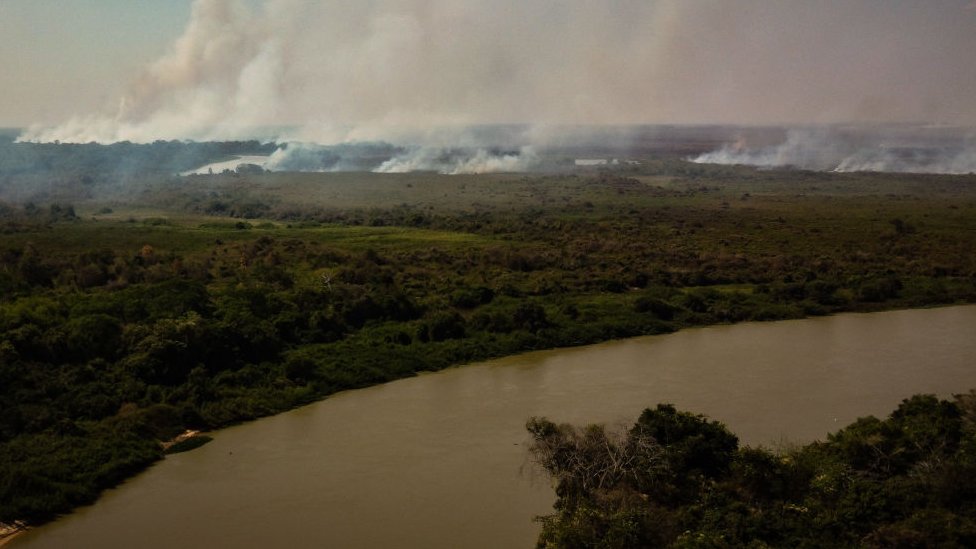 Out of control forest fire burns the area of the Brazilian Pantanal in rural Pocone, Mato Grosso, Brazil,