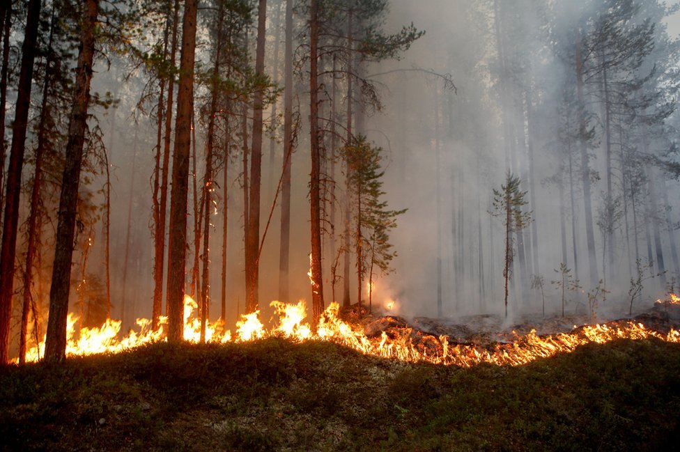 Las Fotos Que Explican La Racha De Incendios Descontrolados