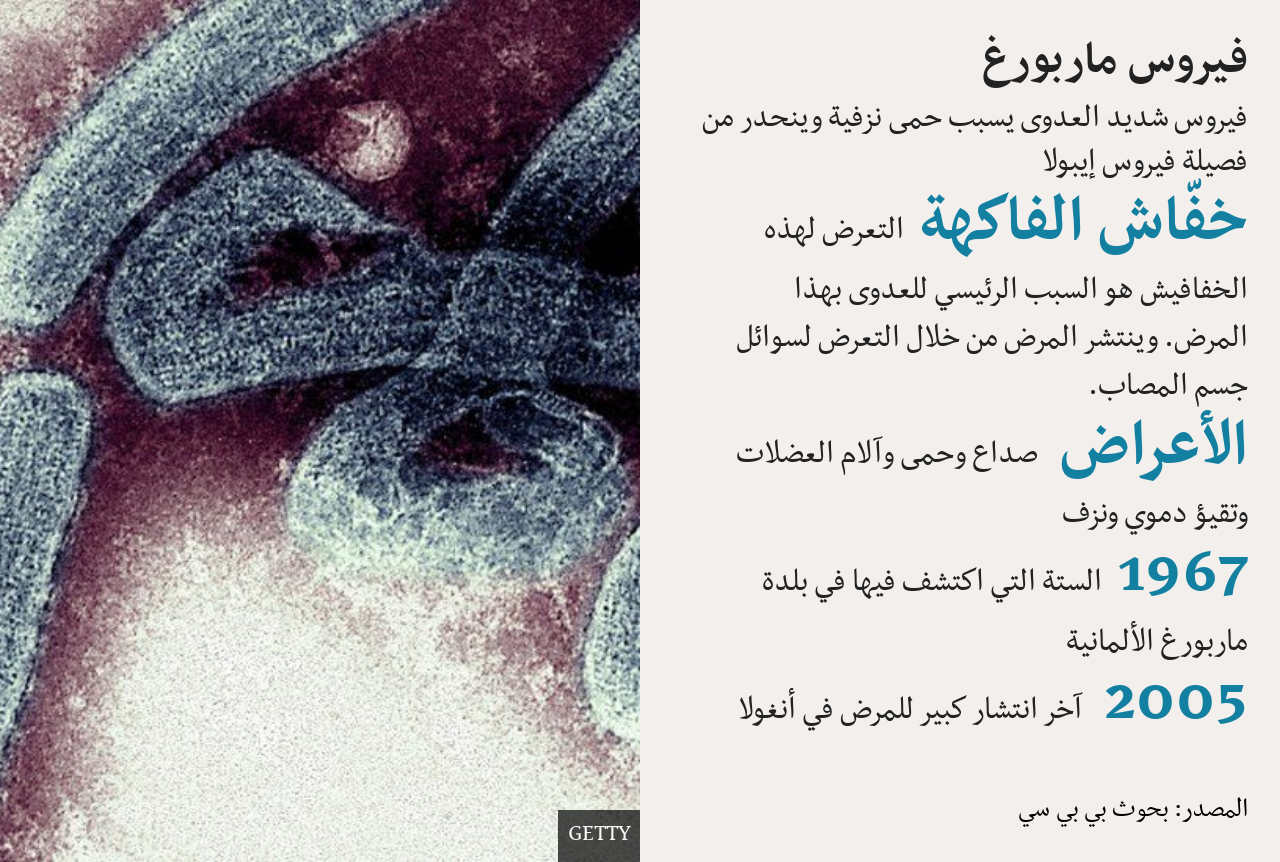 فيروس ماربورغ: ماذا نعرف عنه؟ وكيف نحمي أنفسنا من الإصابة به؟ 2 marburg